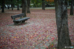 奈良公園の紅葉<5>