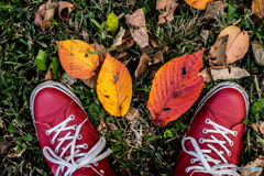 古室山古墳の紅葉<3>