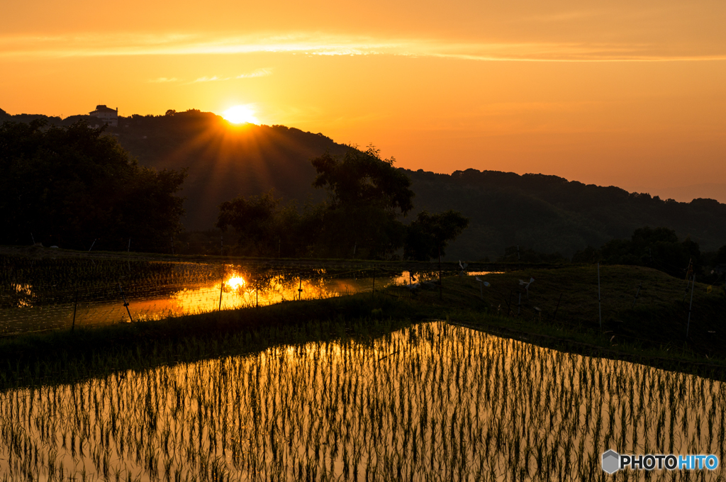 下赤坂棚田夕景<2>