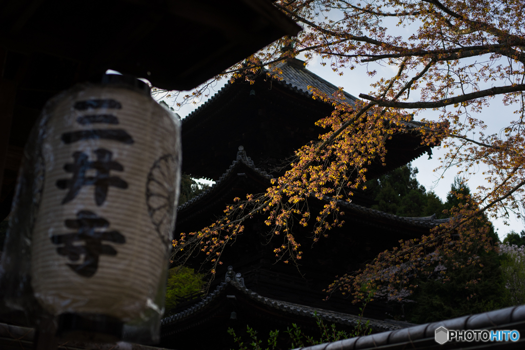三井寺<2>