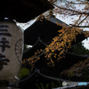 三井寺<2>