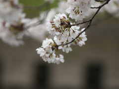 20120605