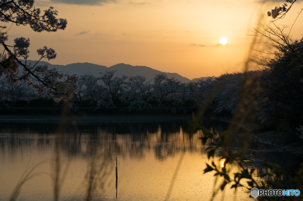 醍醐池の夕日