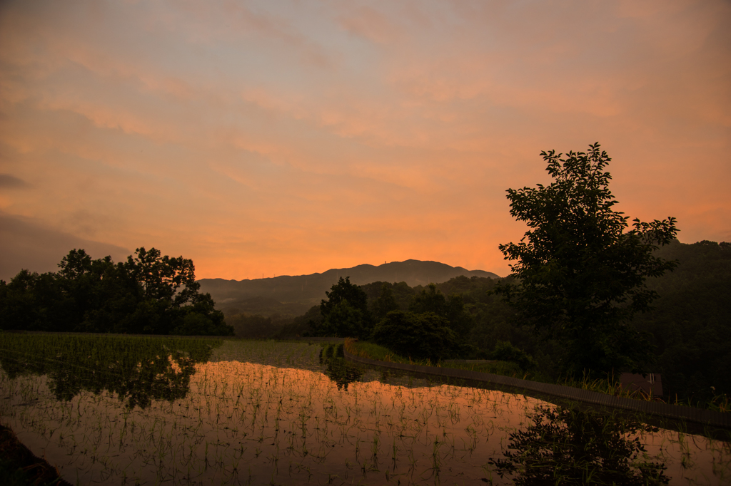 本日の夕焼け(20150609)