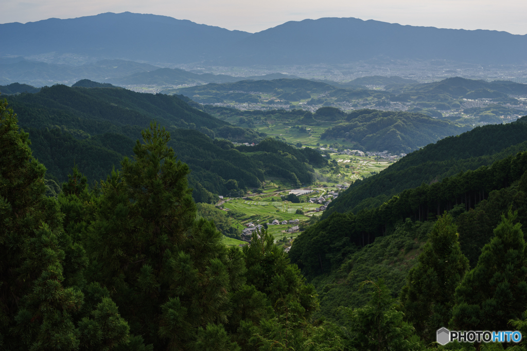 稲渕の棚田遠景