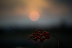 南天と夕日
