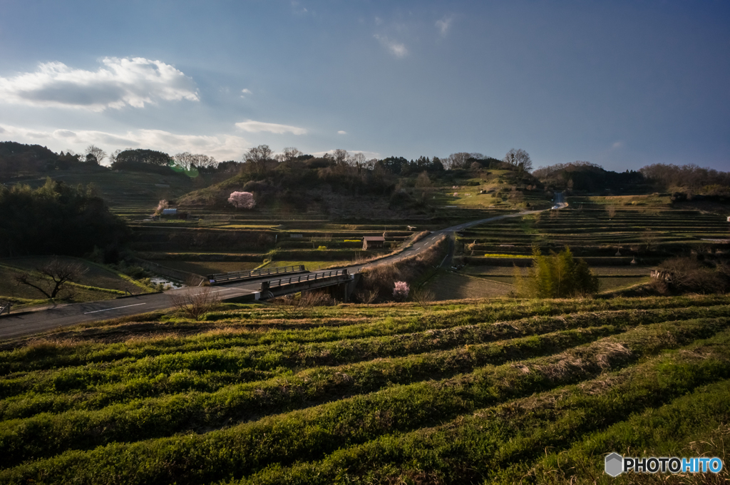 稲渕の棚田風景<1>