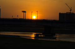 夕日確保