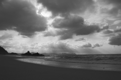 DSC00508