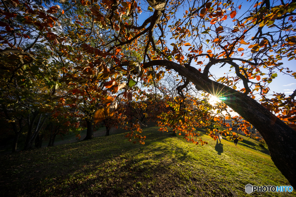 古室山古墳その2<1>