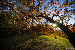 古室山古墳その2<1>