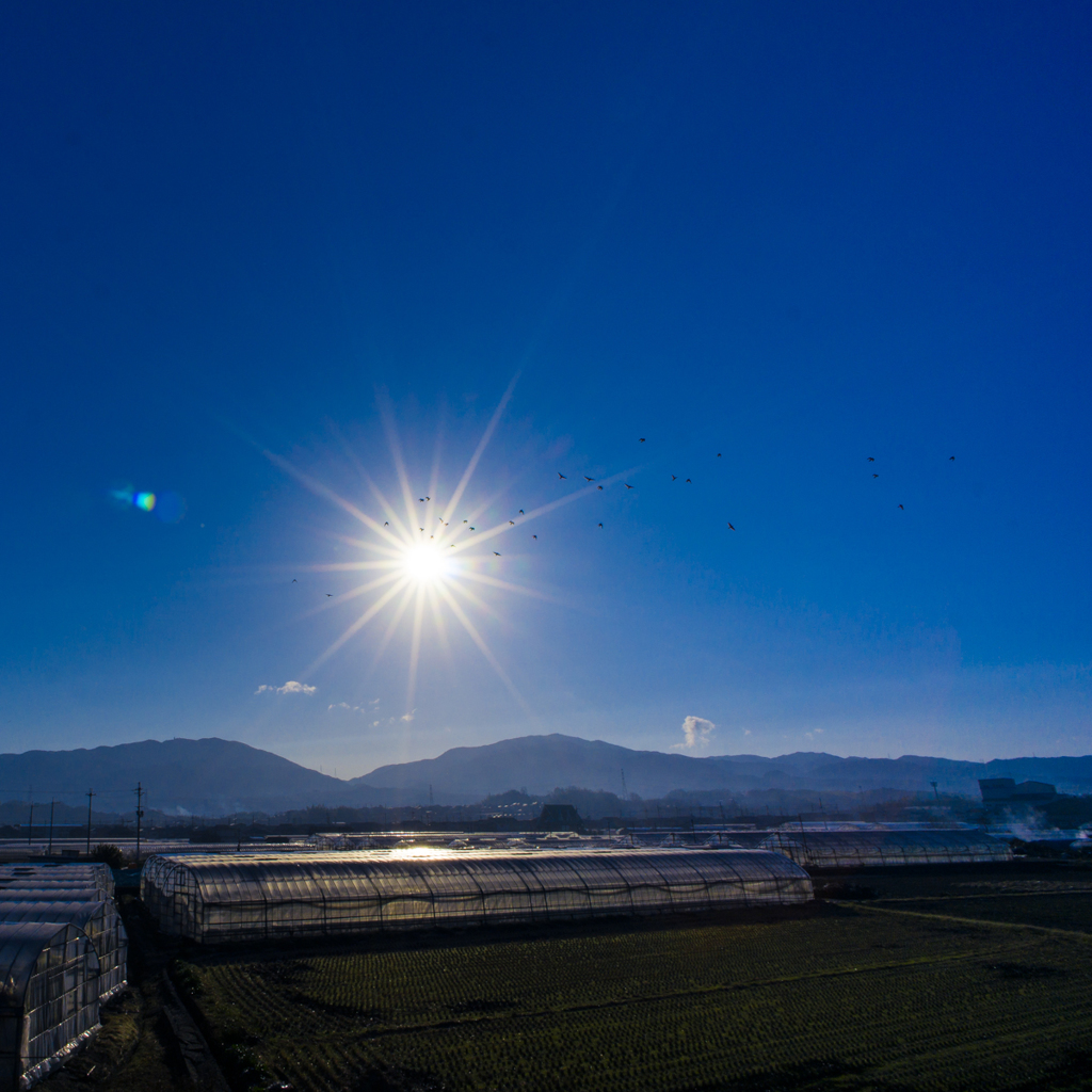 朝の風景