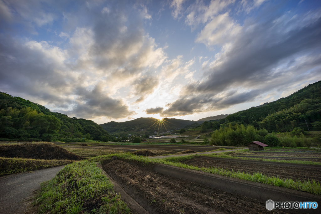 稲渕棚田の朝