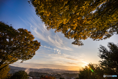 紅葉と秋の空<4>