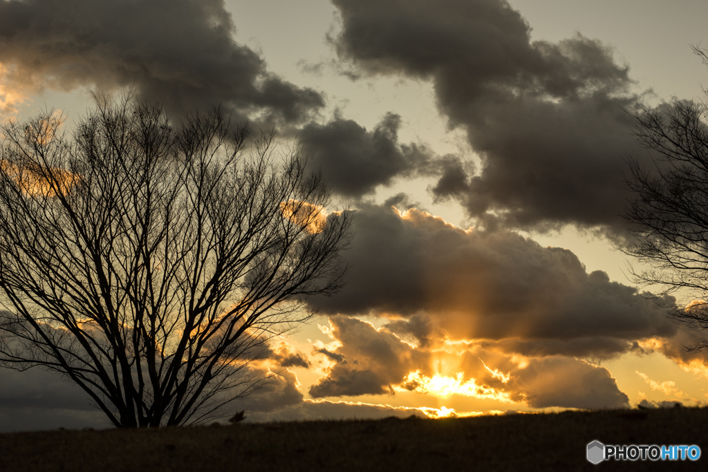羽曳野中央霊園の夕景<7>