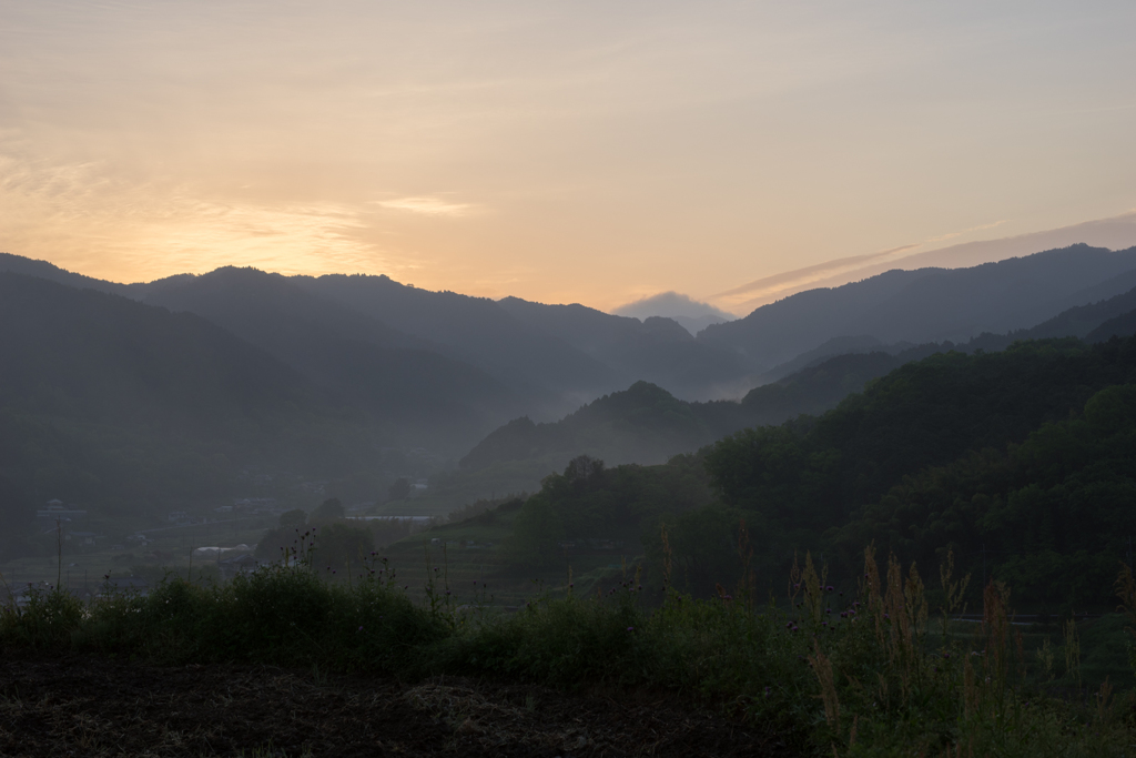 稲渕棚田の朝<1>