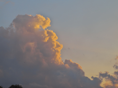 本日の雲(20130825)