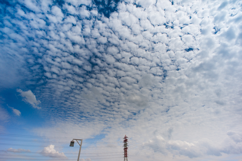 秋の空