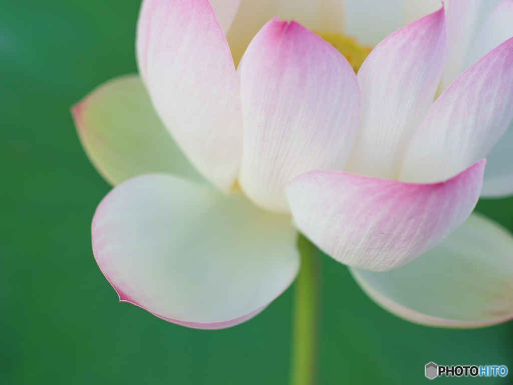 目覚め、そして