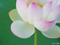 目覚め、そして 目覚め、そして