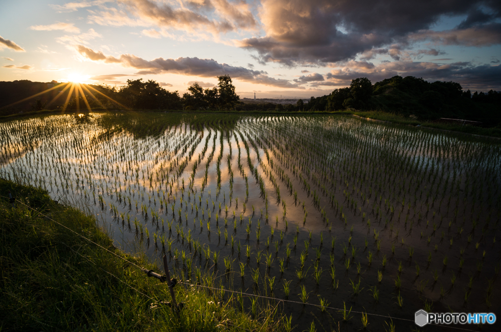 本日の夕日(20150628)