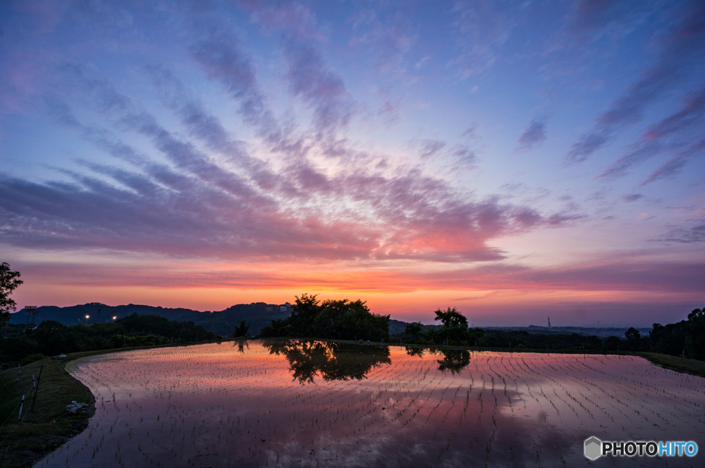 下赤坂棚田夕景<4>