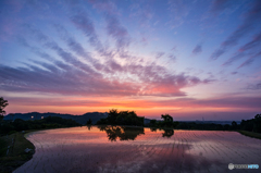 下赤坂棚田夕景<4>