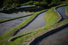 棚田<湛水>