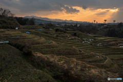 下赤坂棚田夕景<2>