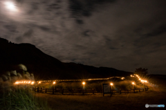 曽爾高原山灯り<4>