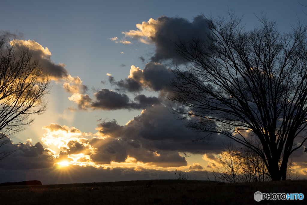 本日の夕日(20170114)
