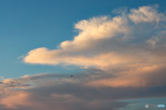 飛行機と雲