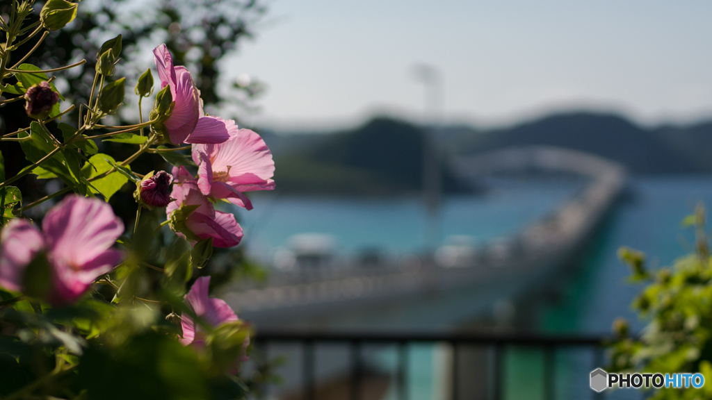 角島大橋<2>