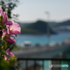 角島大橋<2>