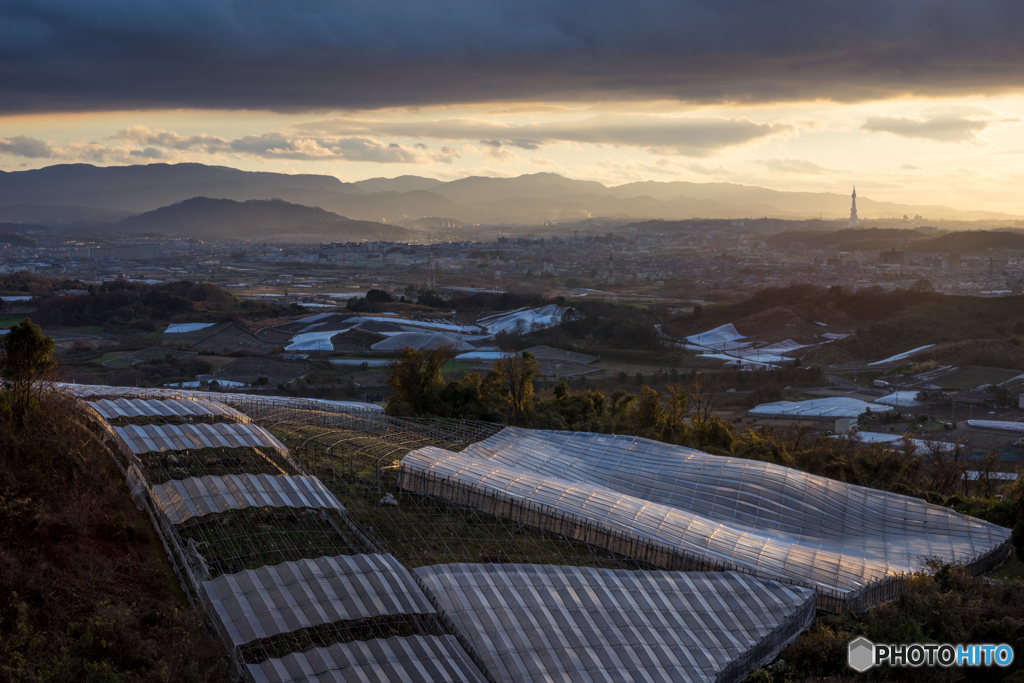 羽曳野中央霊園の夕景<3>