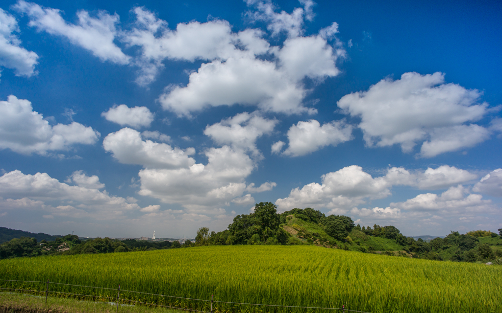 本日の雲(20140907)