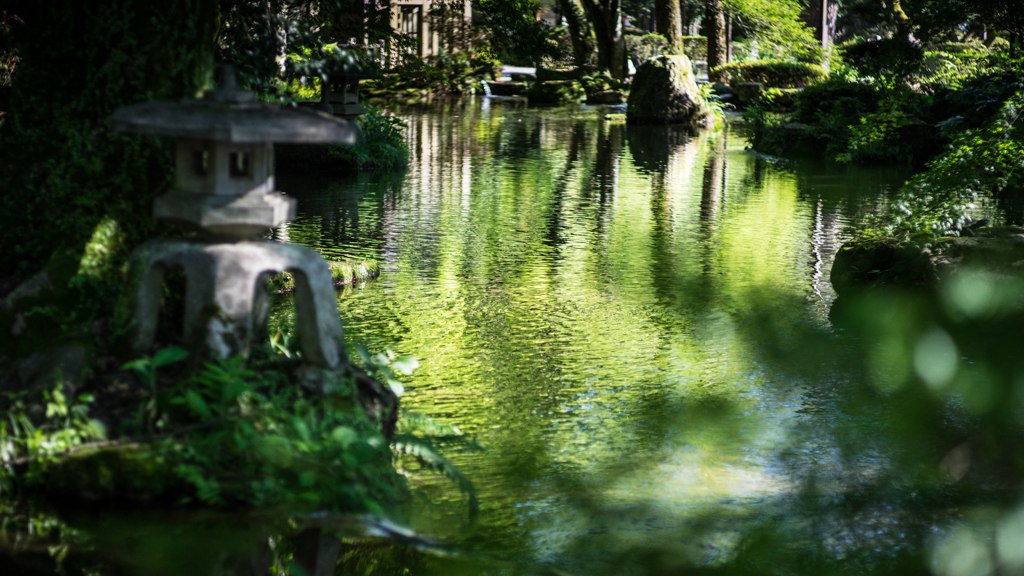 岐阜公園の緑