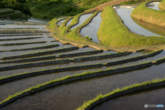 棚田の水風景<1>