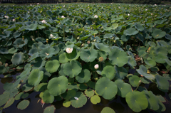 は~い注目! は~い注目!