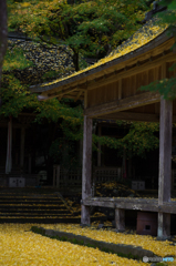 黄色の世界<3>