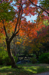 紅葉スポット<1>