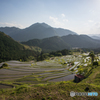 丸山千枚田の風景<2>