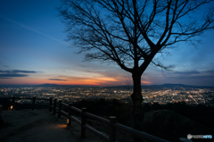 若草山夜景