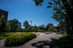 金公園