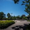 金公園