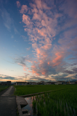本日の夕焼け(20140710)