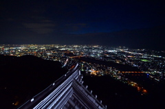 岐阜城からの夜景