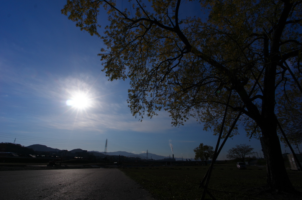 石川河川敷の朝<その2>
