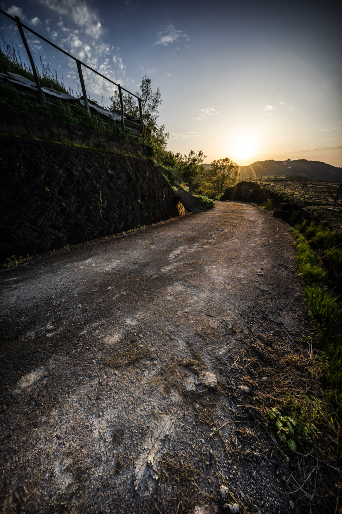 道(夕日)