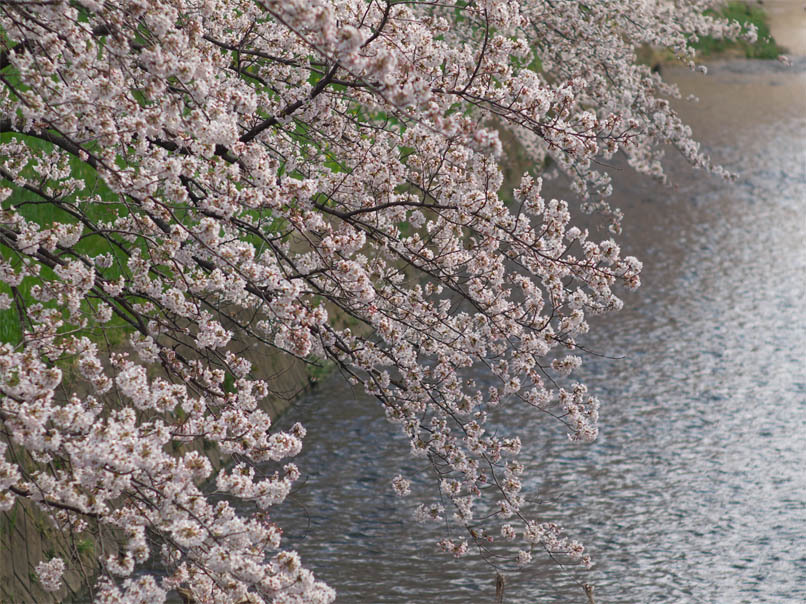 20120659